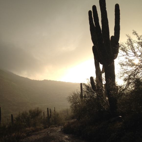 deserthiker23